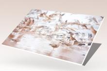 Pianka obrazowa 100x70 cm