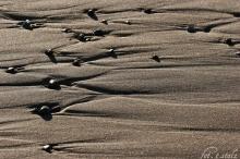 Sand Stones 2