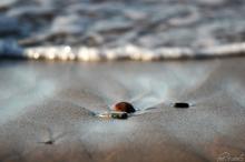 Sand Stones 3