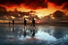 Orange Sunset