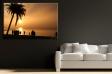 Rewal Palms_1