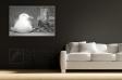 Mewy 2827a_4