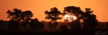 Zachód Słońca na Sawannie